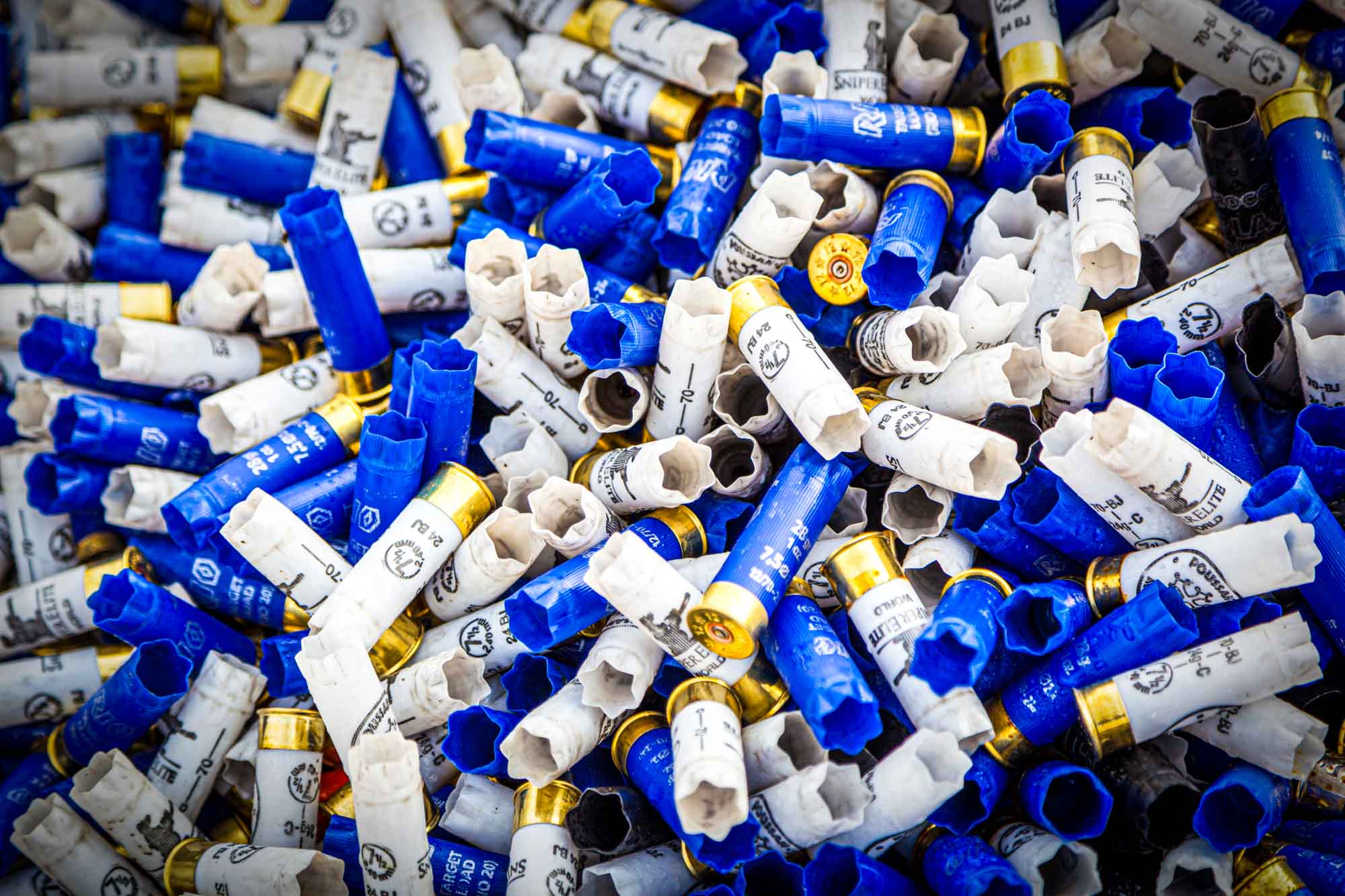 Pile of spent shotgun shells — firearm cleaning and ammunition reloading expose hobbyists and hunters to lead residue that lingers on hands, surfaces, and reloading equipment