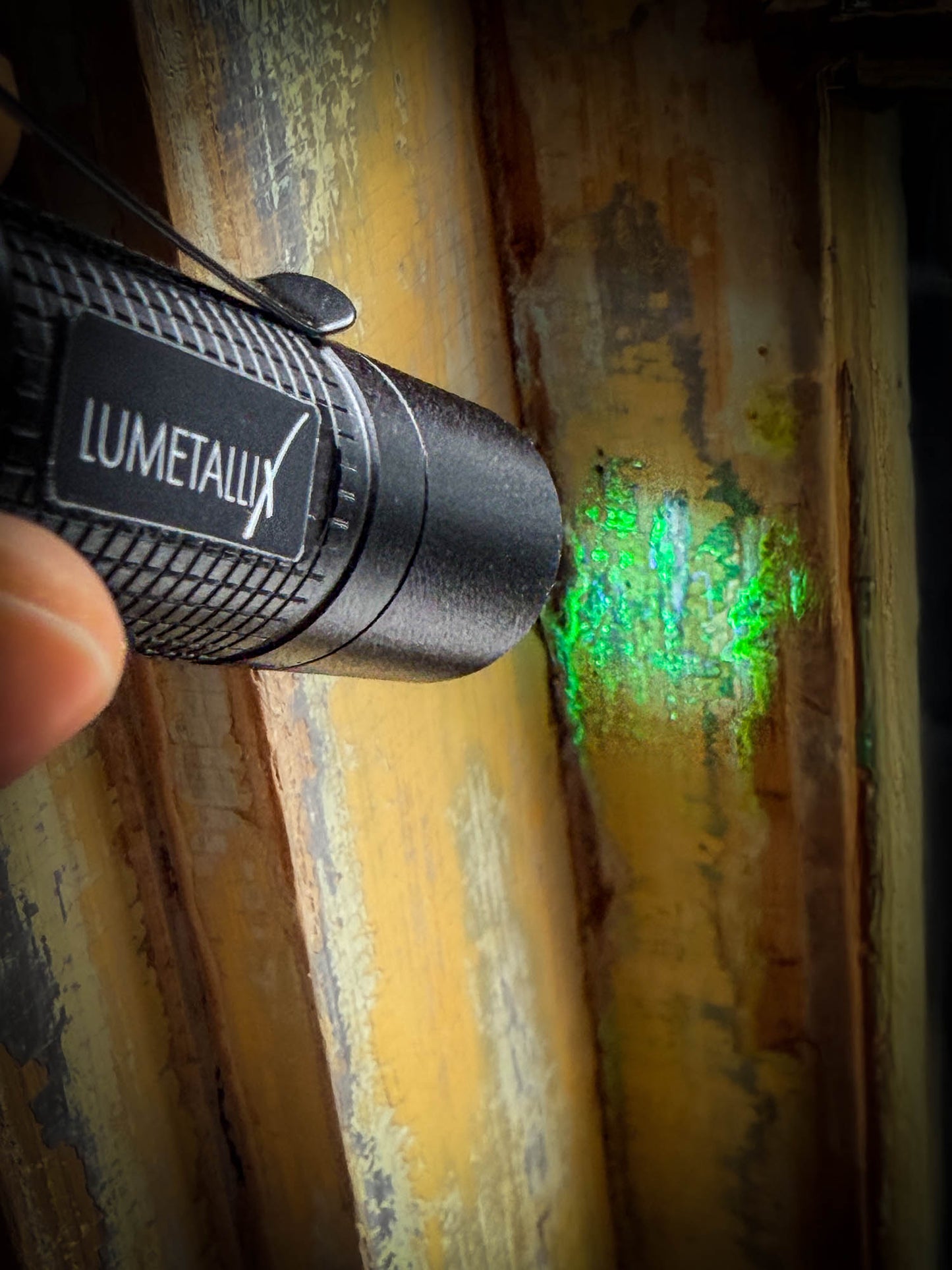 Lumetallix Instant Lead Test Kit